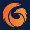PhoenixTeam logo
