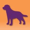Zeektek logo